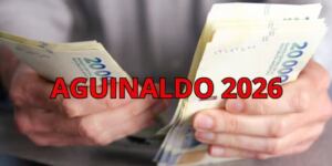 Guía Legal del Aguinaldo 2026: Plazos, Cálculo Exacto y Derechos del Trabajador El mercado laboral argentino ingresa en la cuenta regresiva para la liquidación de la primera cuota del aguinaldo 2026. Conforme a las pautas establecidas por la ley 27.073, los empleadores del sector privado, de la administración pública y de las empresas del Estado tienen la obligación de acreditar este beneficio social durante el sexto mes del año. La normativa vigente busca garantizar que el medio aguinaldo de junio 2026 funcione como un alivio financiero y un dinamizador del consumo interno, fijando un tope temporal estricto para su acreditación en las cuentas sueldo, mientras los equipos contables de las empresas y los organismos de previsión social ajustan los cálculos semestrales según los incrementos salariales registrados. Sin embargo, el desconocimiento de los plazos y de las formas correctas de liquidación suele generar escenarios de vulnerabilidad para los empleados en zonas como Florencio Varela y Berazategui, donde el asesoramiento legal oportuno resulta clave. ¿Cuándo se cobra el aguinaldo en la Argentina? La determinación de las fechas de pago del aguinaldo se rige por un marco legal rígido, que los empleadores deben respetar para evitar sanciones administrativas y reclamos laborales formales. Los plazos clave fijados para este primer semestre son: Fecha límite oficial: la primera cuota del Sueldo Anual Complementario debe abonarse a más tardar el martes 30 de junio 2026. Prórroga legal: la legislación contempla un período de gracia de hasta cuatro días hábiles posteriores al vencimiento, lo que extiende el margen de depósito en algunas compañías hasta el lunes 6 de julio 2026. Sector pasivo: para los jubilados y pensionados de ANSES, la acreditación del Sueldo Anual Complementario se unifica con el calendario habitual de haberes mensuales de junio 2026, ordenado por la terminación del DNI. Cualquier esquema de pago que exceda estos márgenes, o los intentos patronales de abonar el saldo en cuotas no autorizadas por los convenios colectivos, constituye una infracción a la Ley de Contrato de Trabajo y habilita al trabajador a intimar formalmente bajo el debido respaldo legal. ¿Quiénes reciben el aguinaldo y qué sectores quedan excluidos? El alcance del Sueldo Anual Complementario está delimitado por el tipo de contratación y el registro laboral formal. La legislación previsional y laboral argentina determina las siguientes condiciones de inclusión y exclusión: Beneficiarios incluidos: trabajadores en relación de dependencia del sector privado, empleados públicos, personal de empresas estatales, jubilados y pensionados del sistema contributivo y no contributivo general. Sectores excluidos: el cobro del Sueldo Anual Complementario no alcanza a los profesionales independientes, trabajadores inscriptos bajo el régimen del Monotributo en cualquiera de sus categorías ni a las personas insertas en el mercado laboral informal o no registrado. Cabe destacar que los trabajadores que prestan servicios sin registrar, comúnmente denominados en negro, tienen el mismo derecho legal a percibir el aguinaldo y las vacaciones de manera proporcional. En estos casos, la falta de registro representa una falta grave del empleador, que puede ser reclamada judicialmente para exigir la regularización laboral y el cobro de los haberes adeudados con retroactividad. ¿Cómo calcular de forma exacta el monto del aguinaldo de junio 2026? La fórmula para calcular el Sueldo Anual Complementario toma como base de cálculo el 50% de la mayor remuneración mensual percibida por el trabajador durante el bloque que va de enero a junio 2026, incluyendo salarios básicos, horas extras y comisiones. Para determinar este monto con exactitud, se deben contabilizar todos los conceptos remunerativos que figuran en los recibos de sueldo, excluyendo aquellos rubros que tengan carácter no remunerativo, salvo que el convenio colectivo específico de la actividad dicte lo contrario. Las sumas percibidas en concepto de viáticos o premios también deben ser analizadas minuciosamente por profesionales jurídicos para verificar que no se estén omitiendo montos en el cálculo final. Aguinaldo junio 2026: cómo calcularlo si tengo menos de seis meses de antigüedad En aquellos escenarios donde el empleado tenga menos de seis meses de antigüedad en la firma, la liquidación del Sueldo Anual Complementario se efectúa de manera proporcional. Para ello, se debe tomar el salario máximo alcanzado, dividirlo por 12 y multiplicar ese cociente por los meses efectivamente trabajados desde el inicio de actividades, permitiendo una compensación exacta y transparente que los trabajadores pueden auditar mediante sus recibos digitales de sueldo. Ante dudas sobre descuentos indebidos o malas liquidaciones, el estudio Valdez & Asociados ofrece asesoramiento integral para defender cada peso del esfuerzo obrero. Etiquetas: aguinaldo 2026, medio aguinaldo junio, sueldo anual complementario, calcular aguinaldo, ley de contrato de trabajo, abogados laborales, estudio jurídico, Florencio Varela, Berazategui, reclamos laborales, liquidación de sueldo, horas extras, vacaciones adeudadas, derechos del trabajador, indemnización laboral, asesoramiento legal, telegrama laboral, recibo de sueldo, leyes laborales Argentina, Valdez y Asociados Meta description: ¿Cuándo y cómo se cobra el aguinaldo de junio 2026? Conocé los plazos legales, la fórmula de cálculo exacto y cómo defender tus derechos laborales.